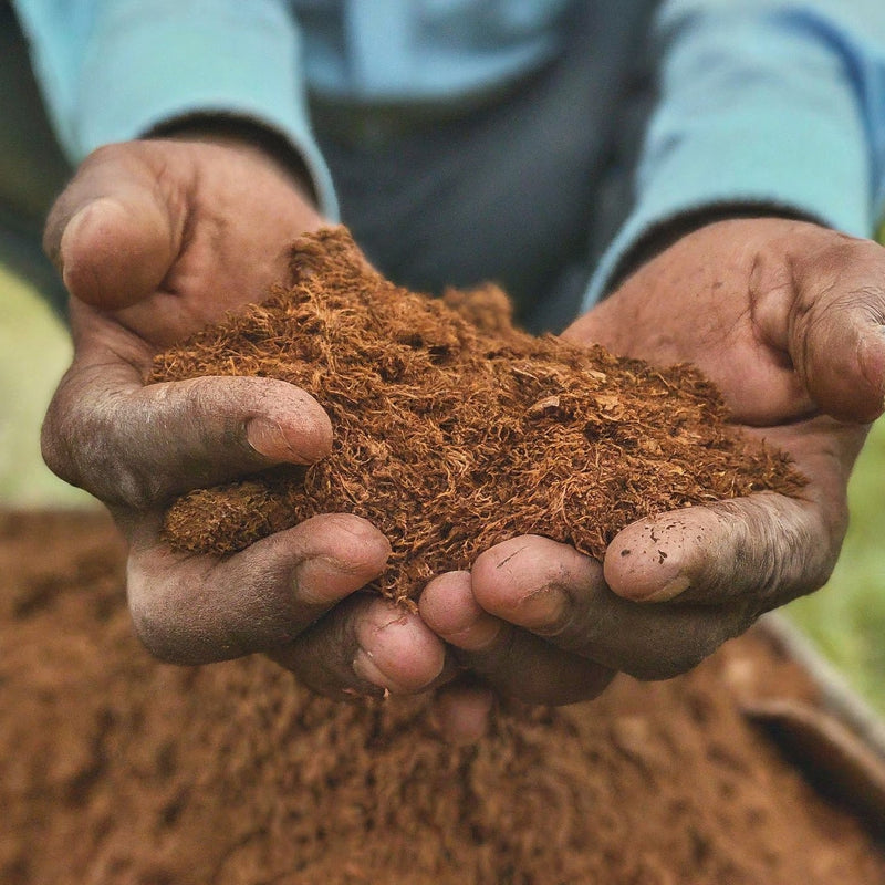 Premium 5kg Cocopeat Block for Gardening - Expands Up to 65 Litres