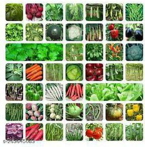 Vegetable seeds 50+ varieties (Best for Kitchen and Terrace Garden)