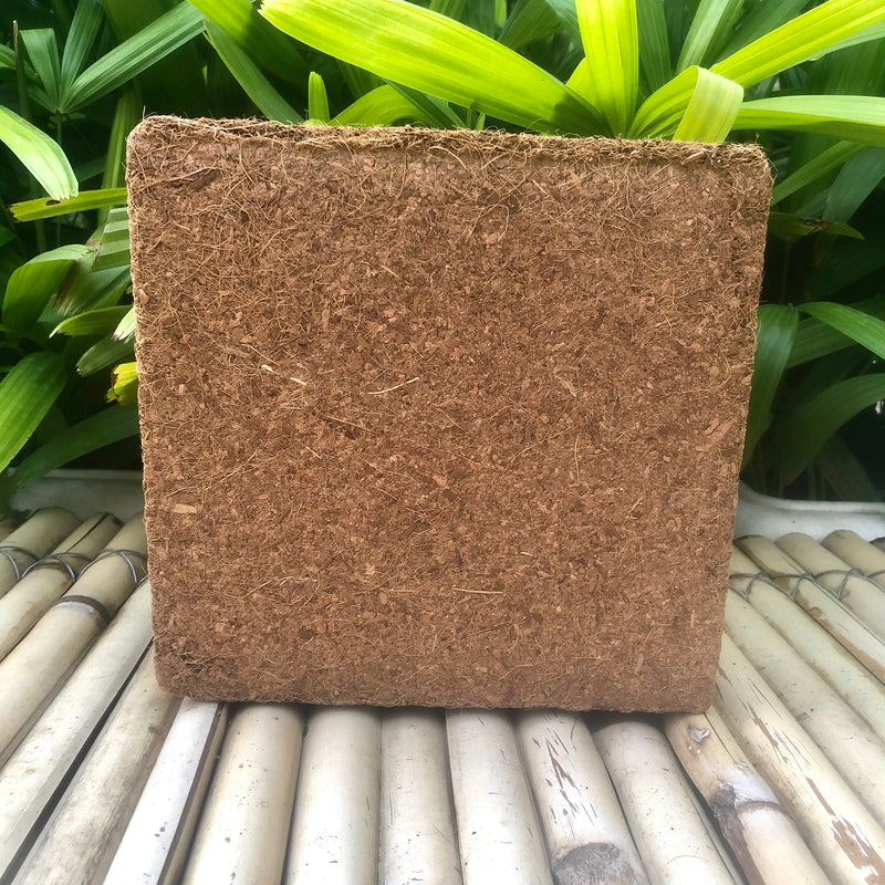 Premium 5kg Cocopeat Block for Gardening - Expands Up to 65 Litres