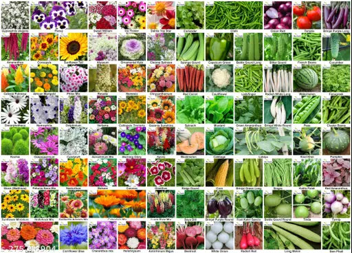 Ultimate Garden Starter Kit: 90 Varieties Of Vegetables & Flower Seeds